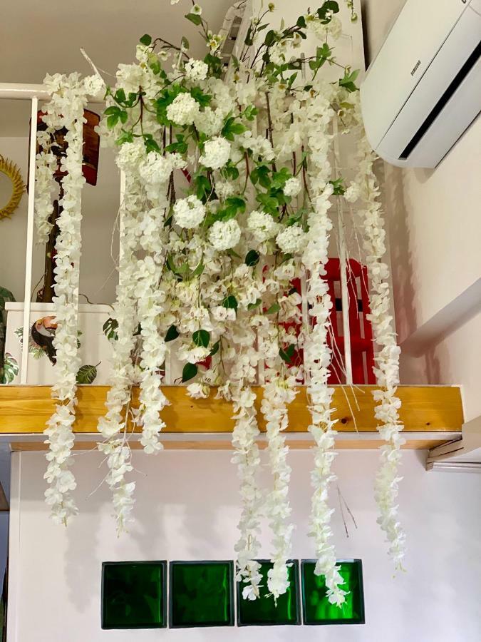 La Finestrella Dell'Arte Un Orizzonte Da Guardare Apartamento Anzio Exterior foto
